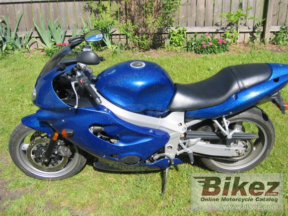 2002 triumph 600